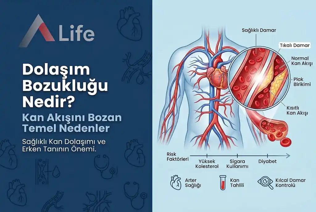 dolasim-bozuklugu-nedir-a-life-ankara_46e92920.webp