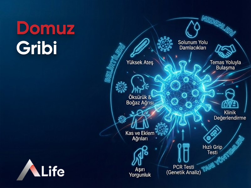 Domuz Gribi Belirtileri, Nedenleri, Tanı Yöntemleri