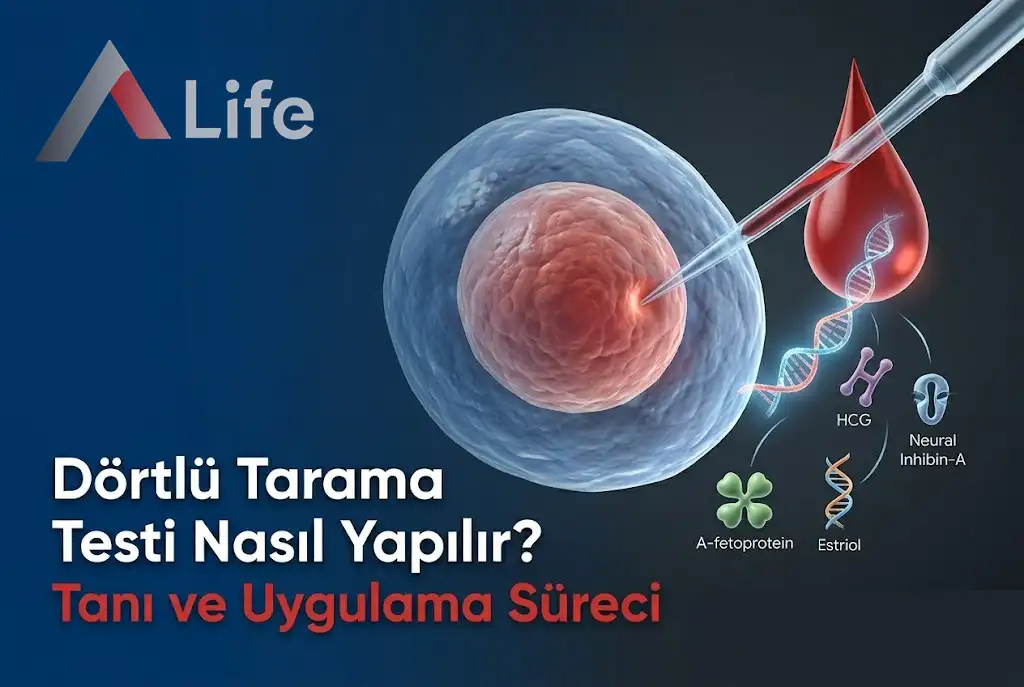 dortlu-tarama-testi-nasil-yapilir-a-life-ankara_5d3ff159.webp