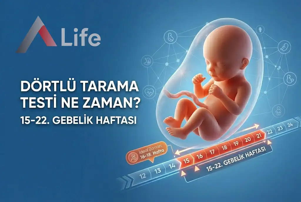 dortlu-tarama-testi-ne-zaman-yapilir-a-life-ankara_c6b2e7d2.webp