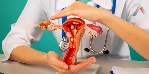 Dogiston jinsiy aloqa com Erotik filmni onlayn tomosha qiling