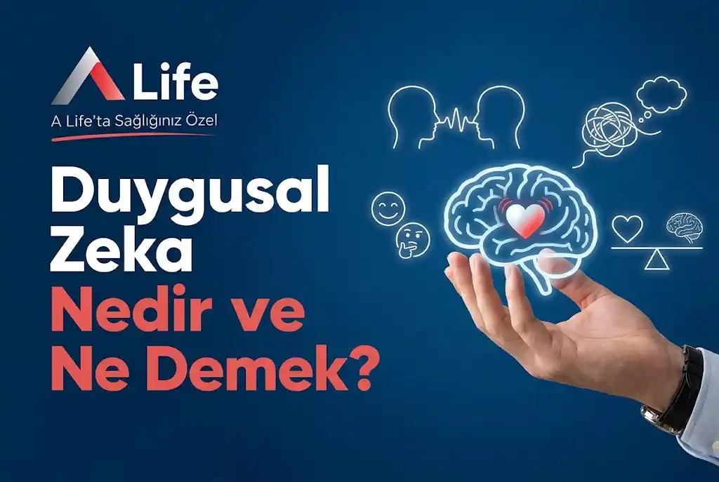 duygusal-zeka-nedir-ne-demek-a-life-ankara_684d18e4.webp