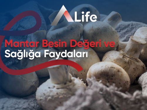 Mantar Besin Değeri ve Sağlığa Faydaları