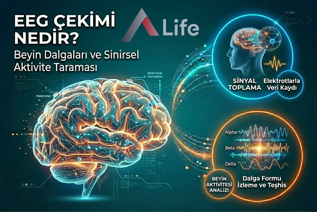 EEG Çekimi Nedir?