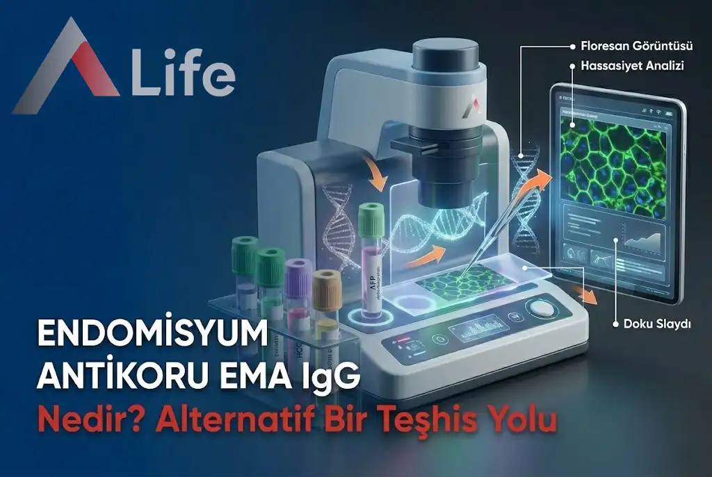endomisyum-antikoru-ema-__gg-nedir-a-life-ankara_73f25c3b.webp