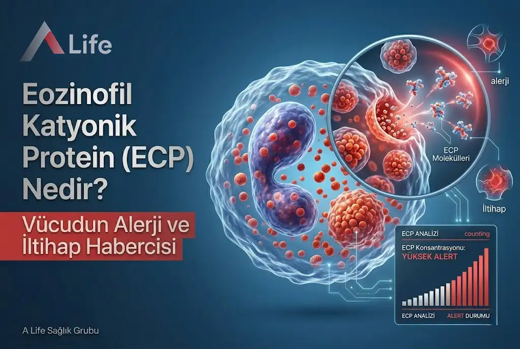 eozinofil-katyonik-protein-ecp-nedir-a-life-ankara_7c4a92c3.webp