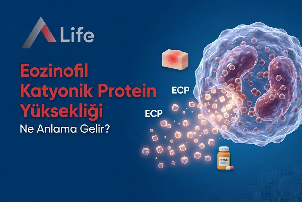 eozinofil-katyonik-protein-yuksekligi-ne-anlama-gelir-a-life-ankara_76496626.webp