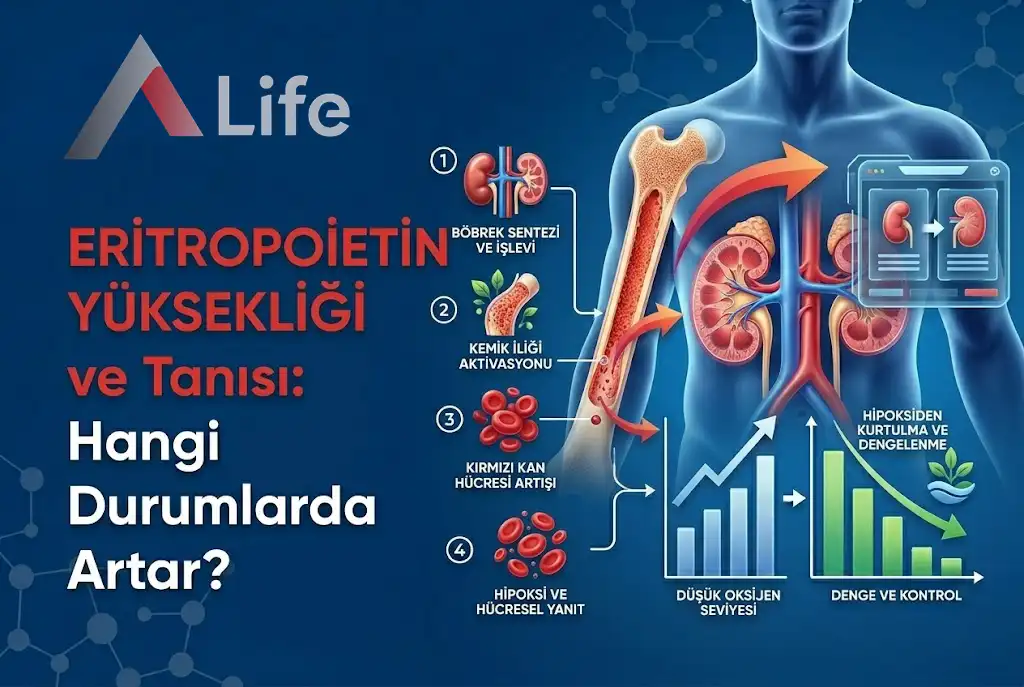 eritropoietin-yuksekligi-ve-tanisi-hangi-durumlarda-artar-a-life-ankara_6131cd67.webp