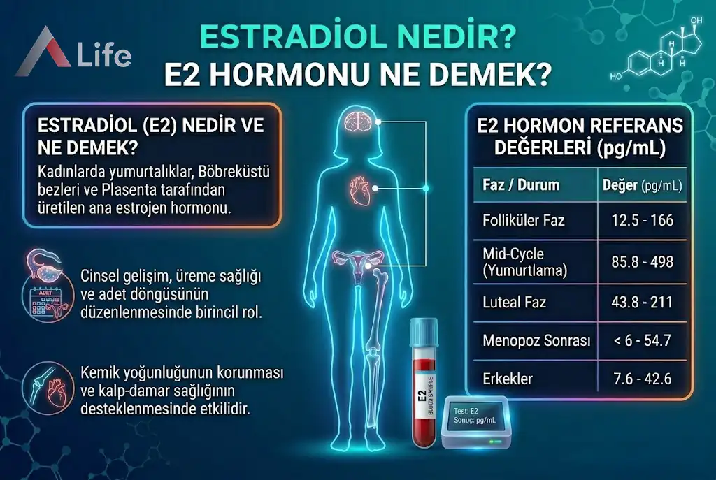 estradiol-nedir-E2-hormonu-ne-demek-degerleri-vucuttaki-gorevleri-nelerdir-a-life-ankara_e7d534d4.webp