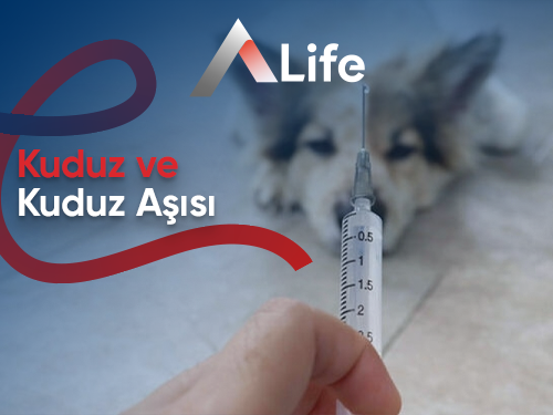 Kuduz ve Kuduz Aşısı