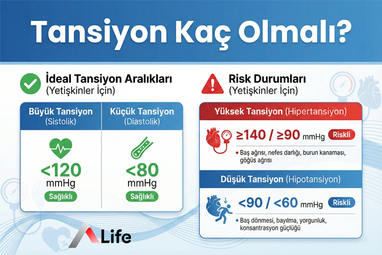 Tansiyon Kaç Olmalı? Yetişkin ve Yaşlılarda İdeal Tansiyon Değerleri