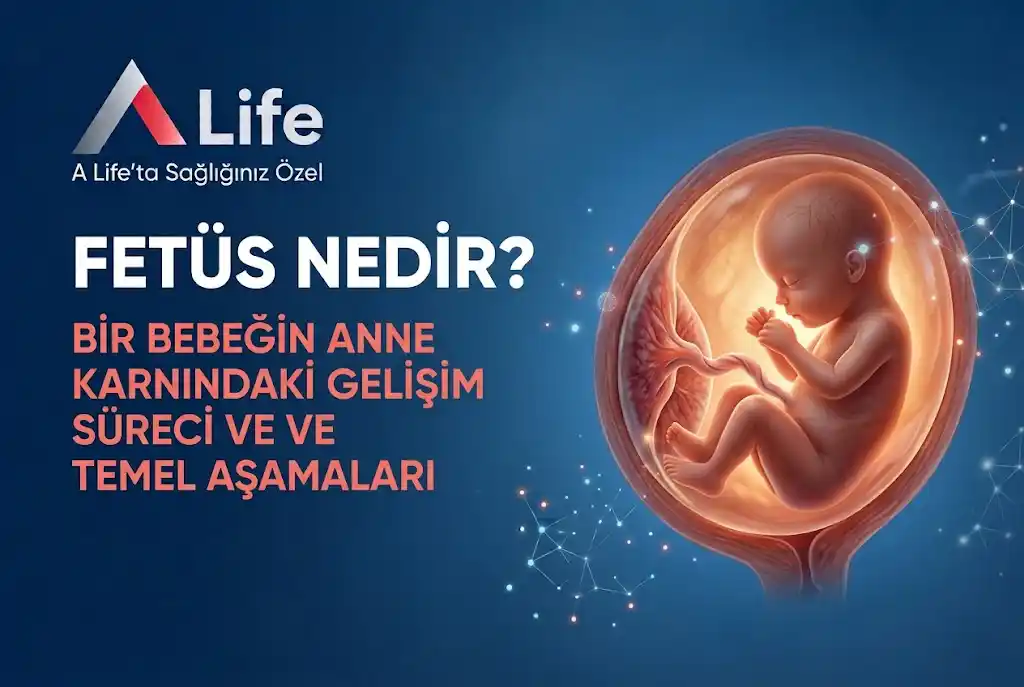 fetus-nedir-a-life-bebek-anne-karni-gebelik-ankara_3ce20695.webp