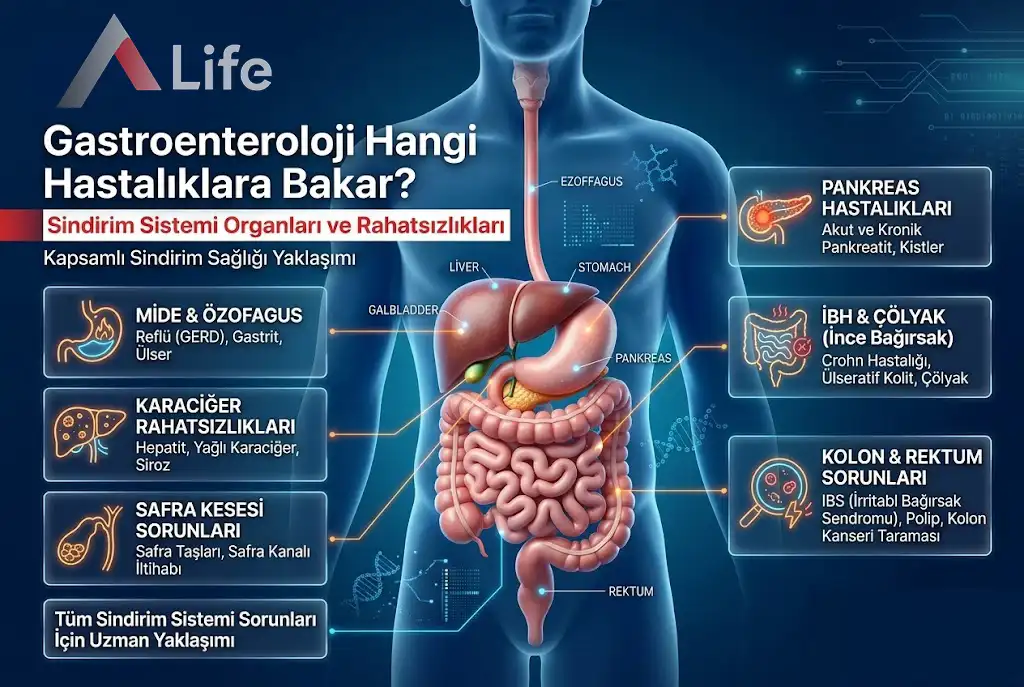 gastroenteroloji-hangi-hastaliklara-bakar-a-life-ankara_2ea34ab9.webp