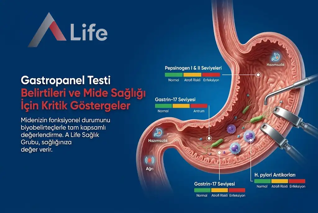 gastropanel-testi-belirtileri-ve-mide-sagli__i-icin-kritik-gostergeler-a-life-ankara_403afb2a.webp
