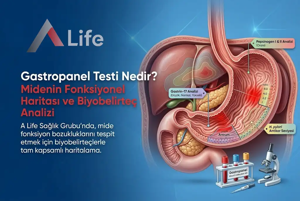 gastropanel-testi-nedir-a-life-ankara_b80c383b.webp