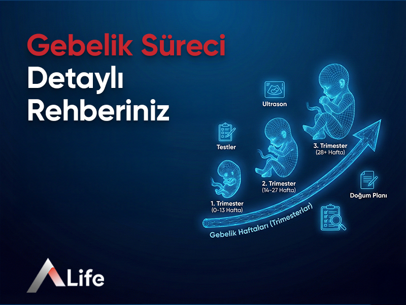 Gebelik Süreci: Detaylı Rehberiniz