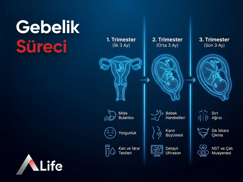 Gebelik Süreci, Belirtileri, Sağlık Kontrolleri