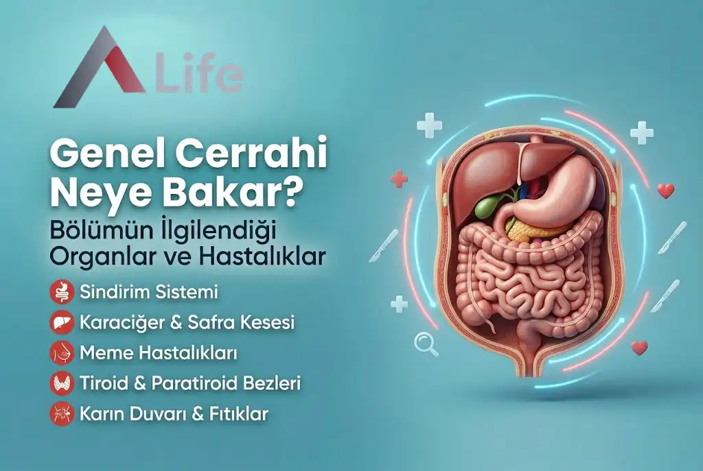 genel-cerrahi-neye-bakar-sindirim-sistemi-karaciger-safra-kesesi-tiroid-a-life-ankara_29b21a8f.webp