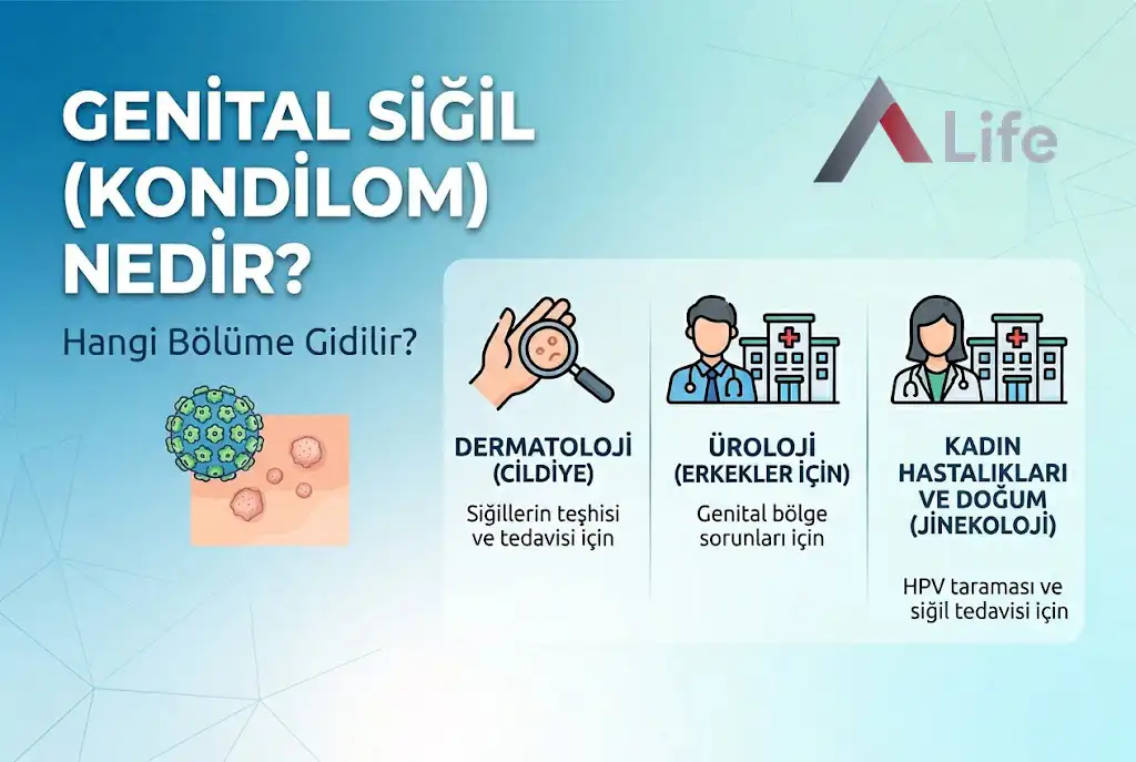 genital-sigil-kondilom-nedir-hangi-bolume-gidilir-a-life-ankara_ac2c30b1.webp