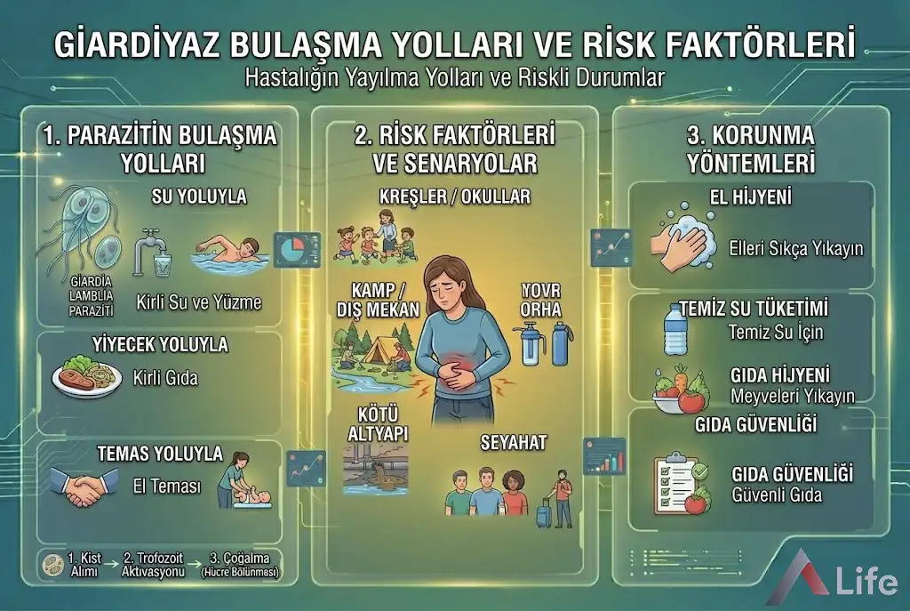 giardia-bulasma-yollari-risk-faktorleri-nelerdir-a-life-ankara_ef031dbd.webp