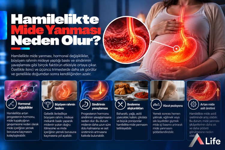 hamilelikte-mide-yanmasi-neden-olur_b25d132d.webp