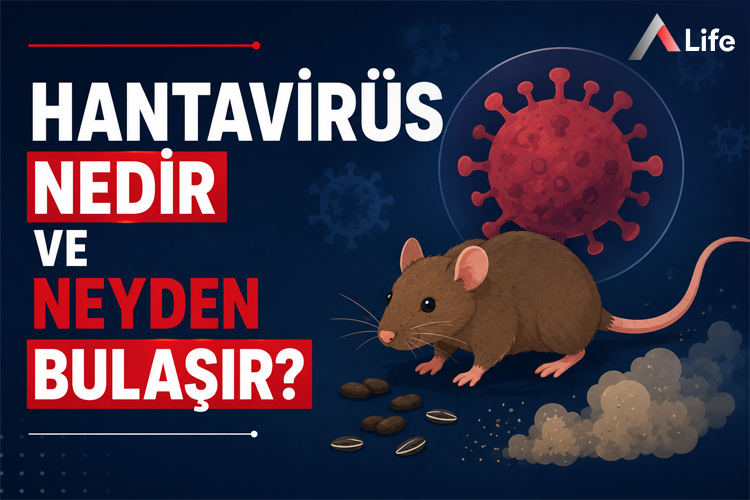hantavirus-nedir-ve-neyden-bulasir_a923c168.webp