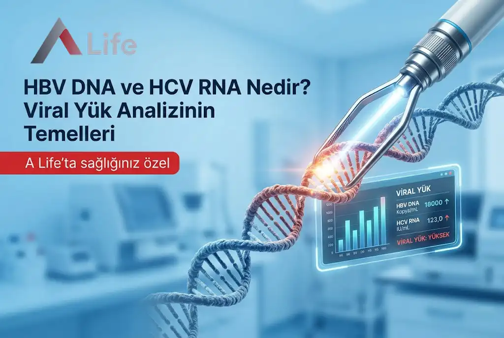 hbv-dna-ve-hcv-rna-nedir-a-life-ankara_caf71d4b.webp