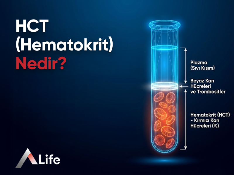 HCT (Hematokrit) Nedir?