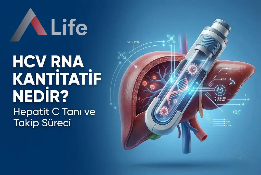 hcv-rna-kantitatif-nedir-hepatit-c-tani-ve-takip-sureci-a-life-ankara_b219afae.webp