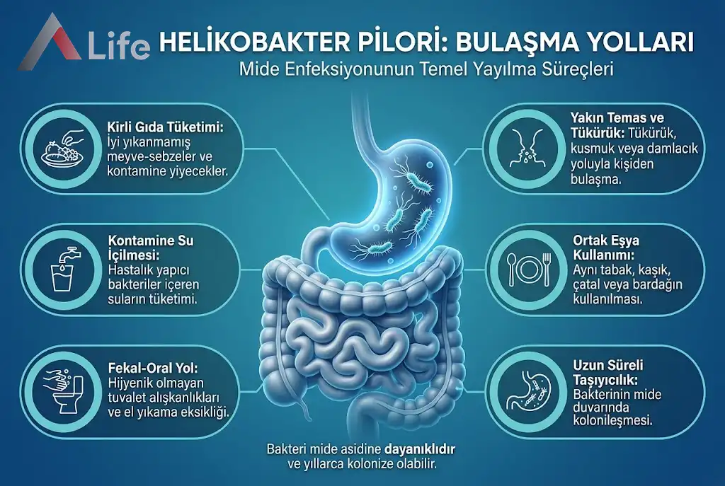 helikobakter-pilori-nasil-bulasir-a-life-ankara_24095225.webp