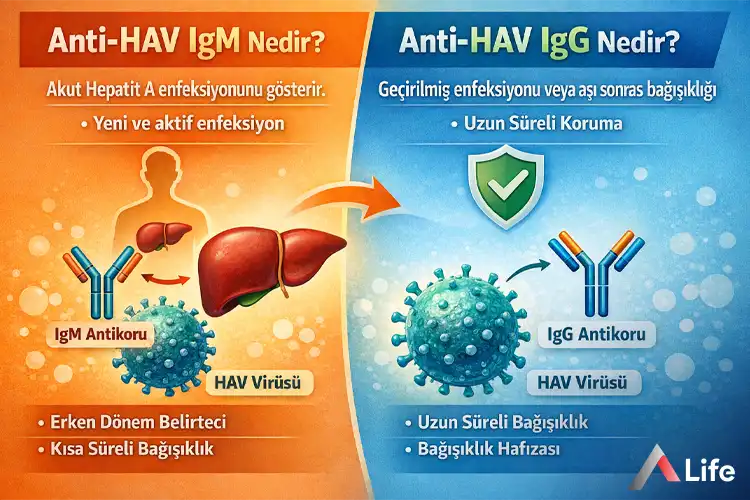 hepatit-a-testi-a____s___465f6080.webp
