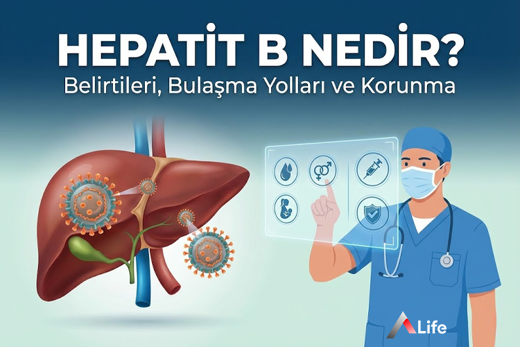 Hepatit B Nedir?
