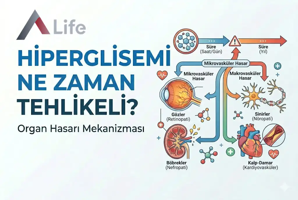 hiperglisemi-ne-zaman-tehlikeli-organ-hasari-a-life-ankara_f01a0cbb.webp