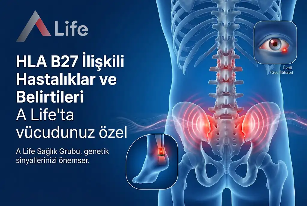 hla-b27-iliskili-hastaliklar-ve-belirtileri-a-life-ankara_9c805dca.webp
