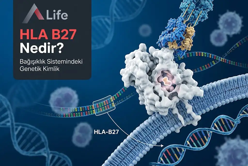 hla-b27-nedir-bagisiklik-sistemindeki-genetik-kimlik-a-life-ankara_ca18fbf2.webp
