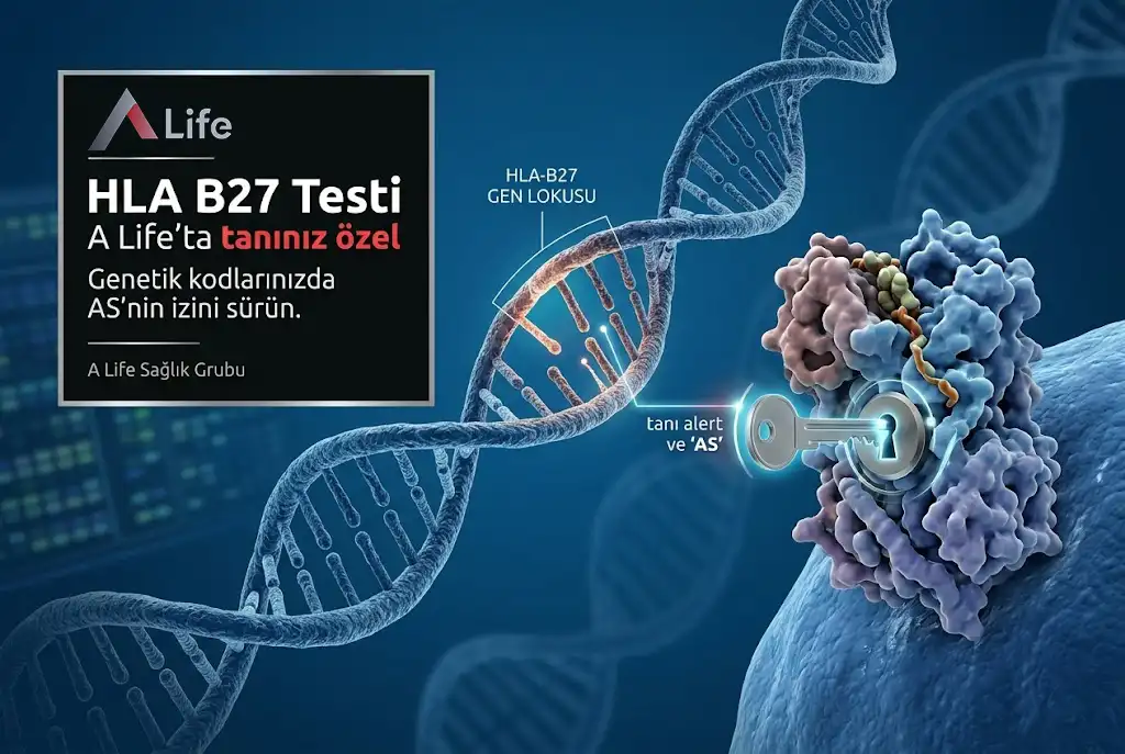 hla-b27-testi-nedir-ve-neden-yapilir-tani-sureci-a-life_89cc1e55.webp
