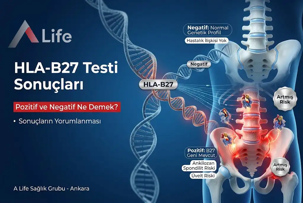 hla-bB27-pozitif-ve-negatif-ne-demek-sonuclarin-yorumlanmasi-a-life-ankara_8f9c37e8.webp
