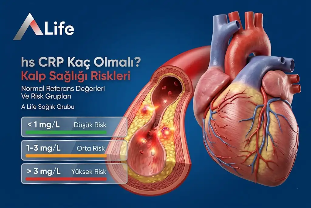 hs-crp-kac-olmali-normal-referans-degerleri-ve-kalp-sagligi-risk-gruplari-a-life-ankara_18e7ee99.webp