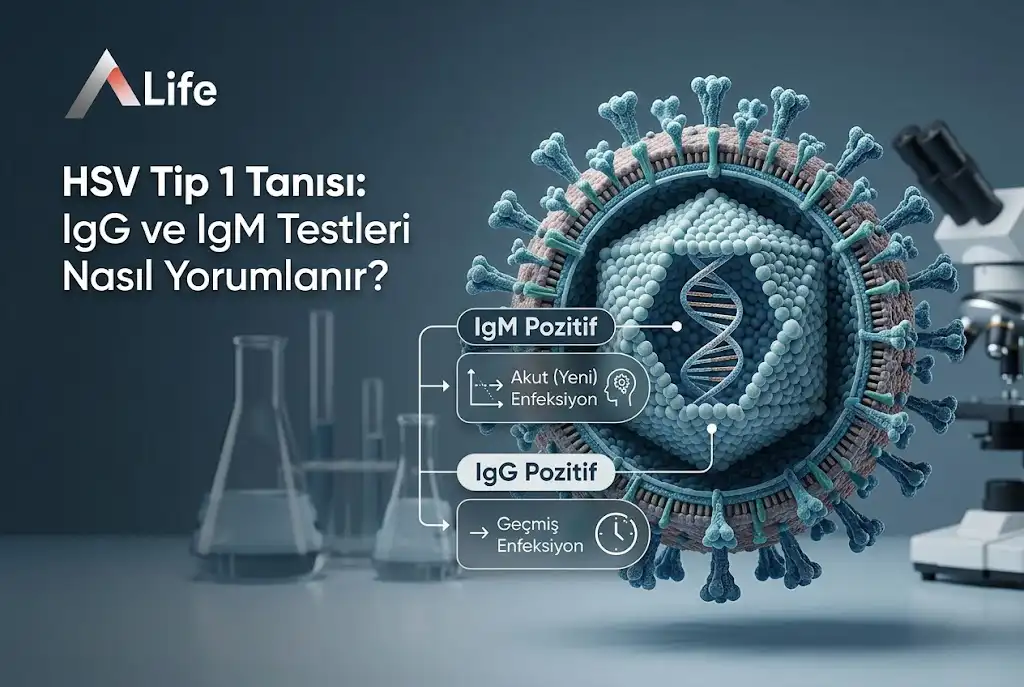hsv-tip-1-tanisi-igg-ve-igm-testleri-life-ankara_ce47fa0f.webp