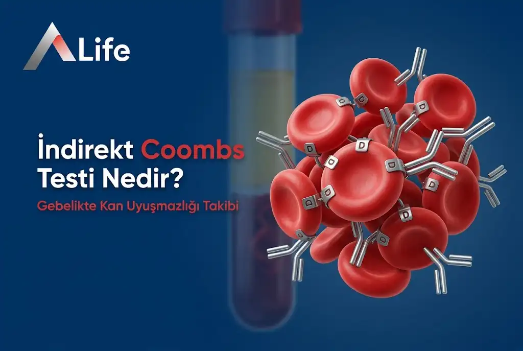 indirekt-coombs-testi-nedir-gebelikte-kan-uyusmazligi-takibi-a-life-ankara_d8634155.webp