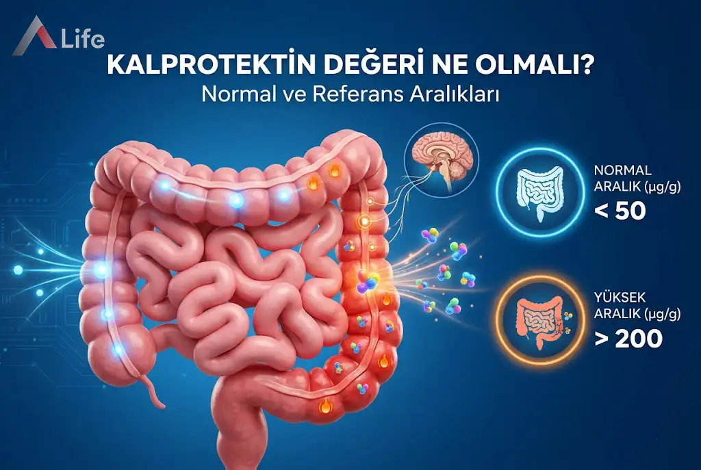 kalprotektin-degeri-ne-olmali-normal-ve-referans-araliklari-a-life-ankara_4da8603a.webp