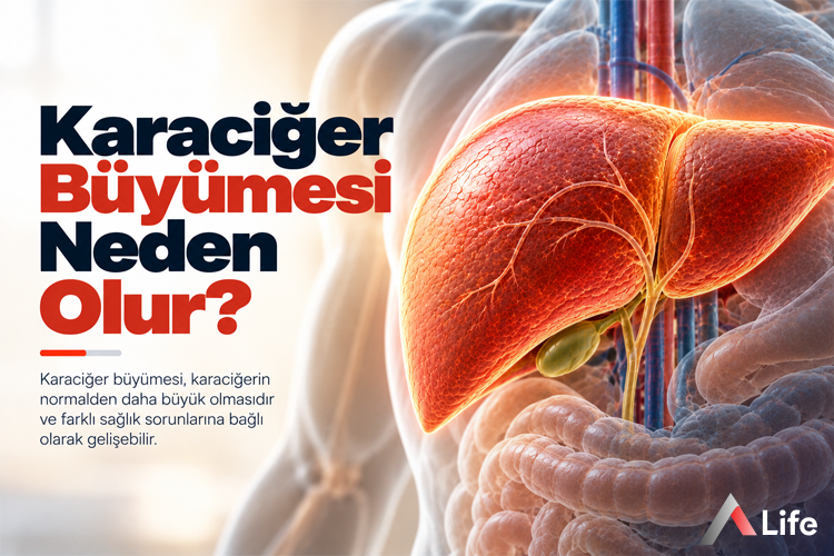 karaciger-buyumesi-neden-olur_c60bf519.webp
