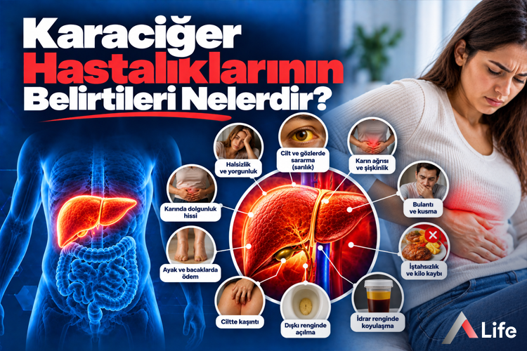 karaciger-hastaliklarinin-belirtileri-nelerdir_e18e816e.webp