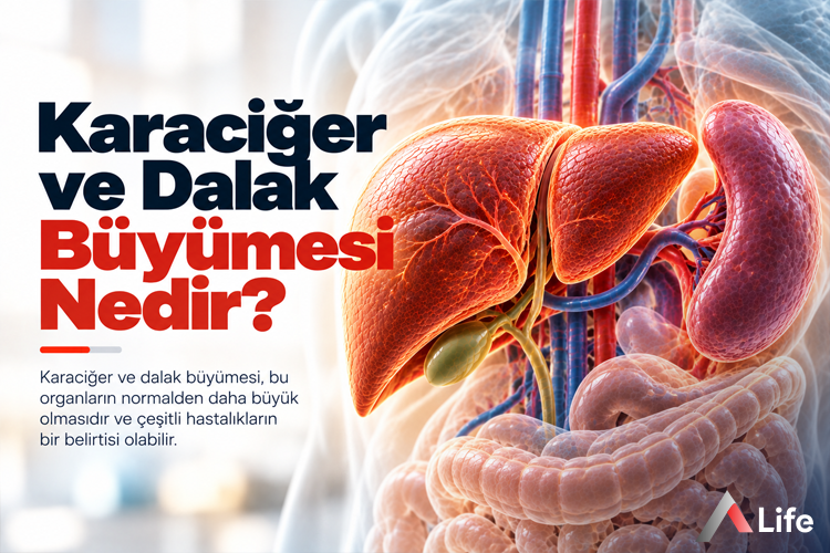 karaciger-ve-dalak-buyumesi-nedir_75f0c214.webp