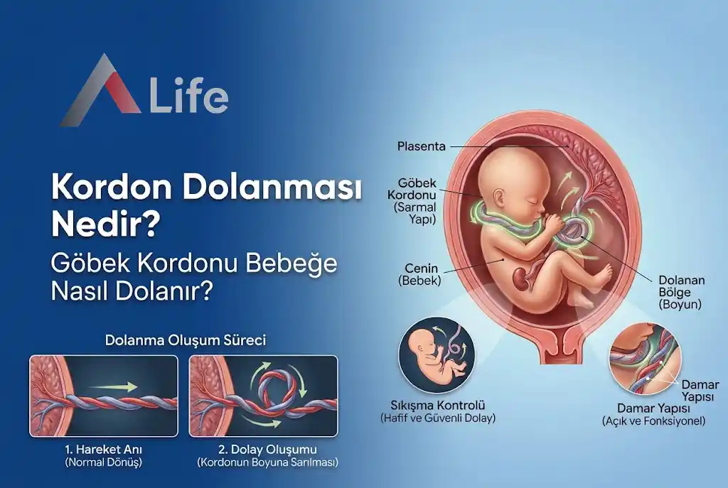 kordon-dolanmasi-nedir-gobek-kordonu-bebege-nasil-dolanir-a-life-ankara_63f7132f.webp