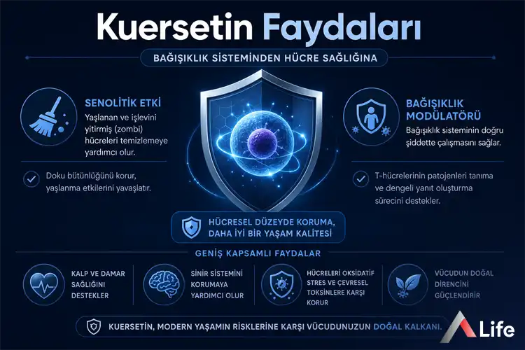 kuersetin-faydalari_4245077a.webp