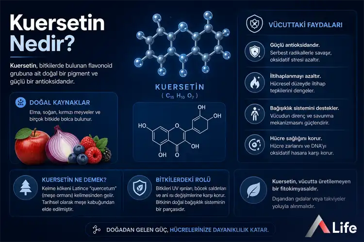 kuersetin-nedir_cef7fb46.webp