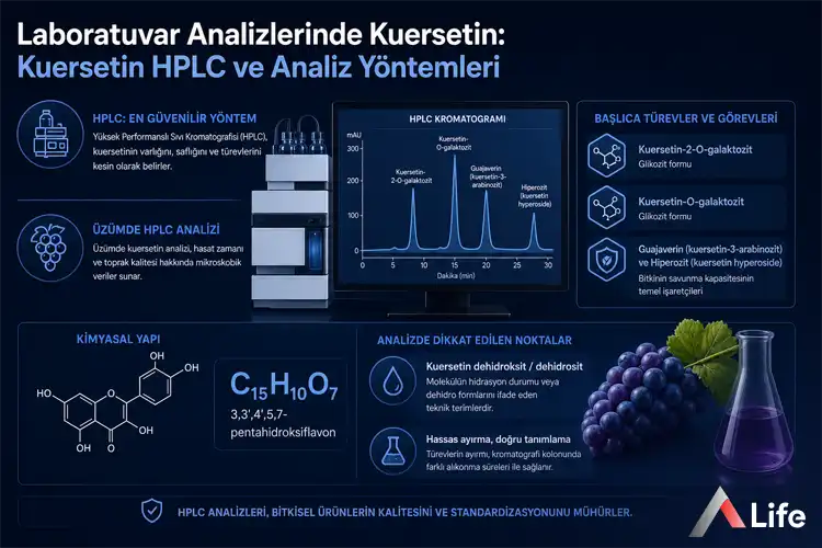 laboratuvar-analizlerinde-kuersetin_4b9b3ecb.webp