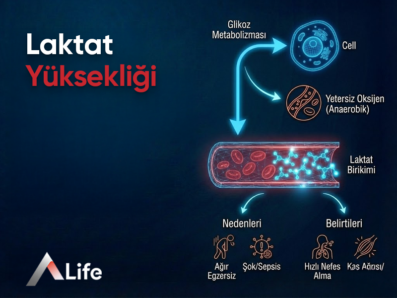 Laktat Yüksekliği