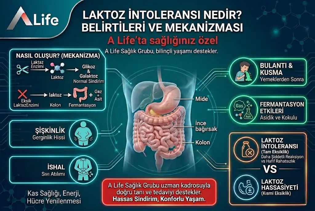 laktoz-intoleransi-nedir-laktoz-hassasiyeti-belirtileri-a-life-ankara_2eef9314.webp